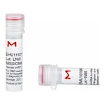 Merck MISSION(R) esiRNA