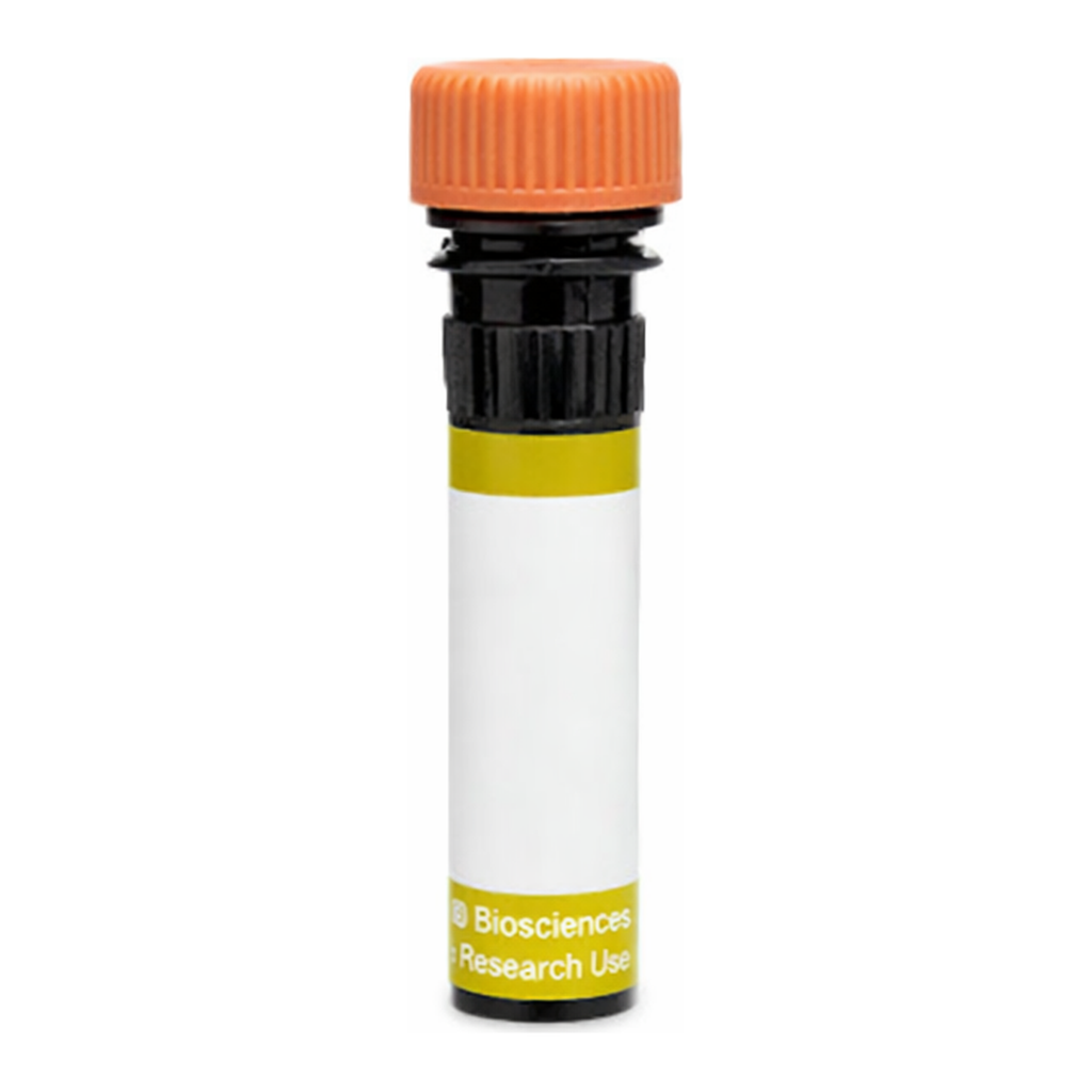 BD RY610 Rat Anti-Mouse FR4 (Folate Receptor 4)