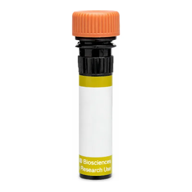 BD RY610 Rat Anti-Mouse FR4 (Folate Receptor 4)