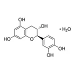 Merck (+-)-CATECHIN