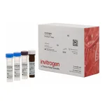 Thermo Fisher Scientific MDC (CCL22) Mouse ProcartaPlex Simplex Kit
