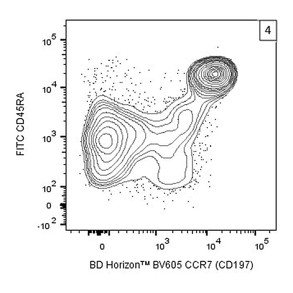 BD BV605 Mouse Anti-Human CCR7 (CD197)