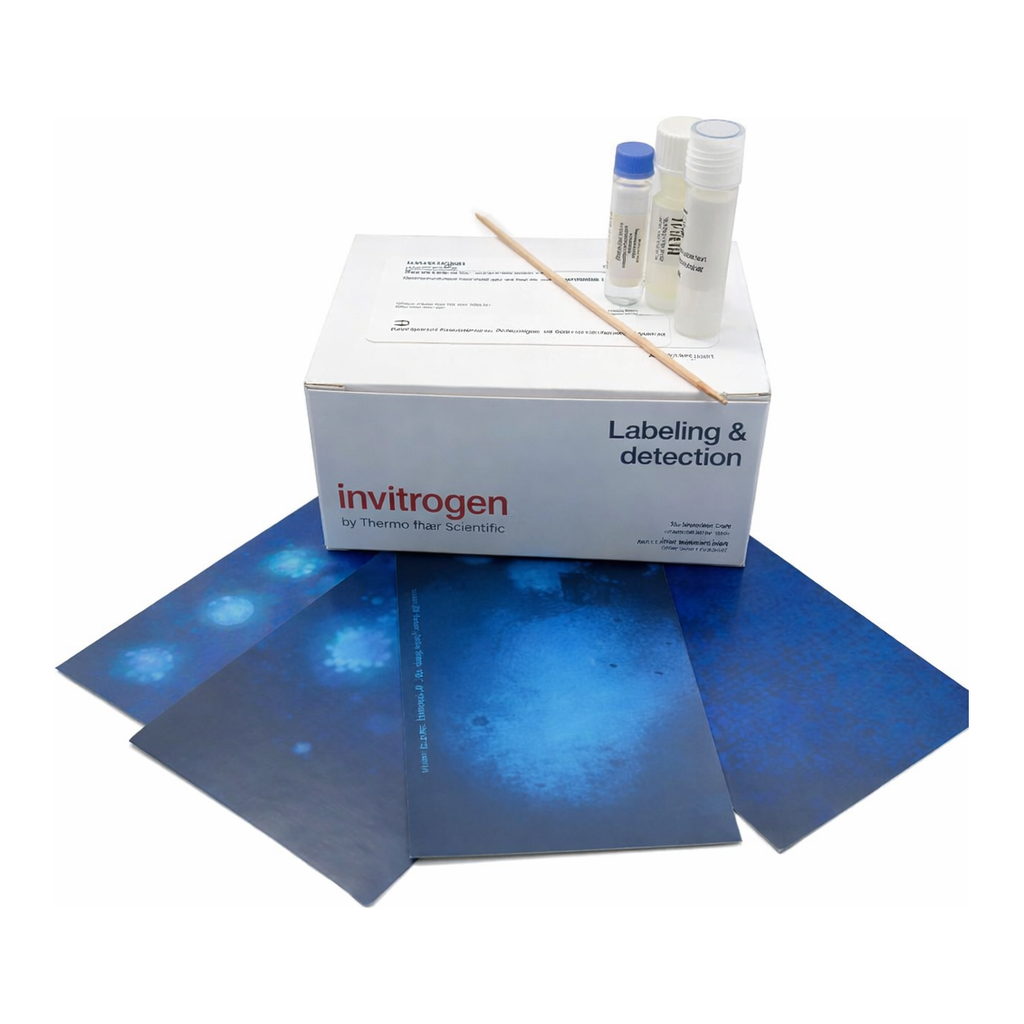 Thermo Fisher Scientific MycoFluor Mycoplasma Detection Kit