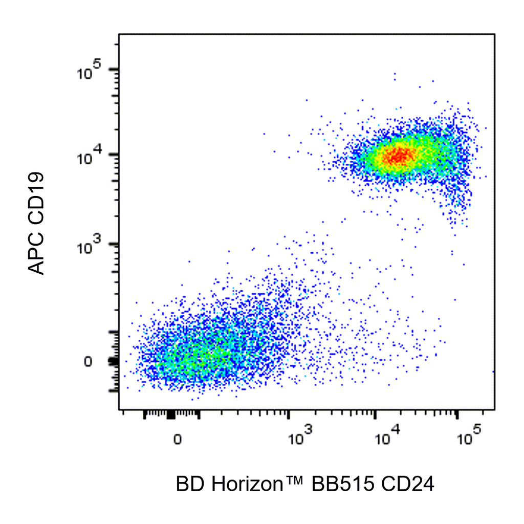 BD BB515 Rat Anti-Mouse CD24