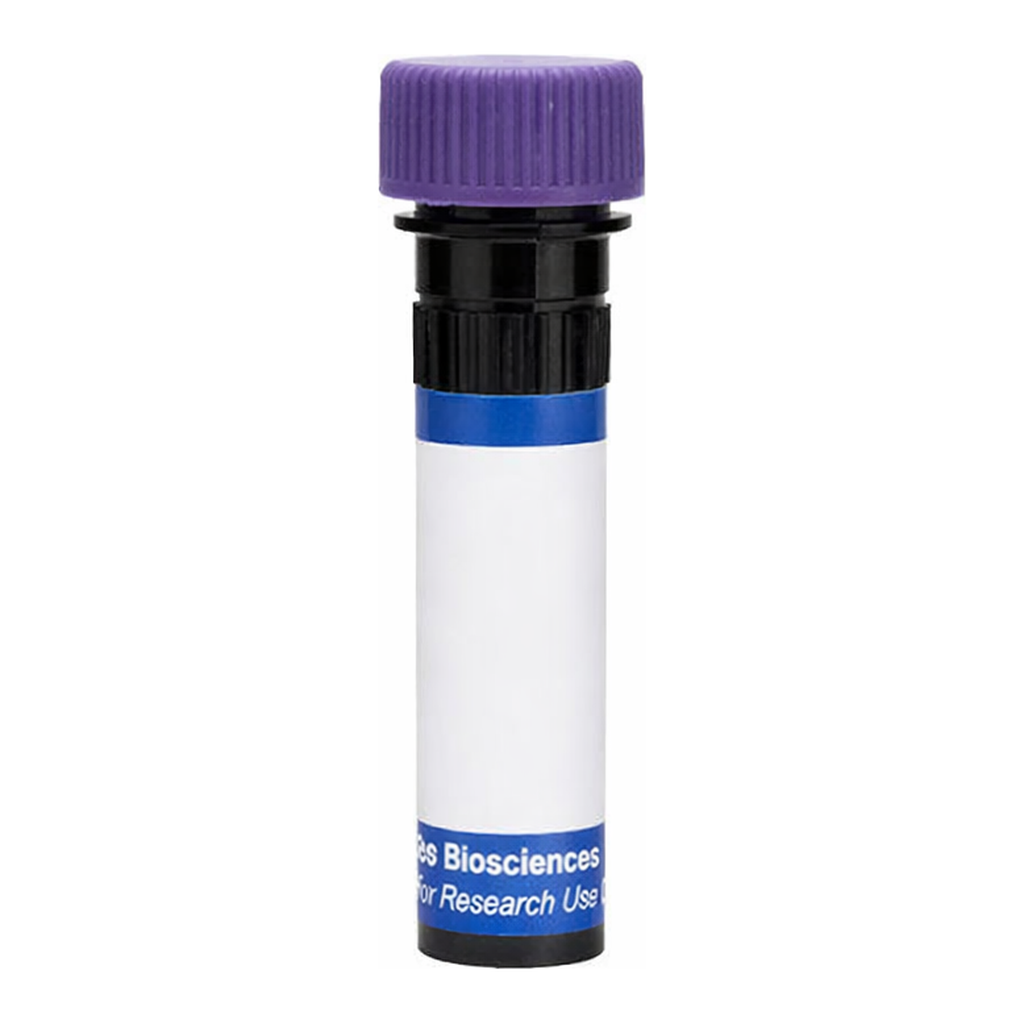 BD RB744 Mouse Anti-Human EGF Receptor