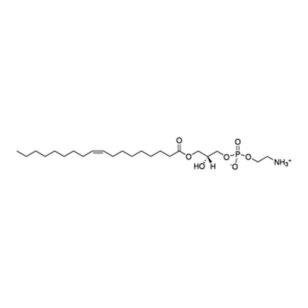 Merck 18:1 LYSO PE