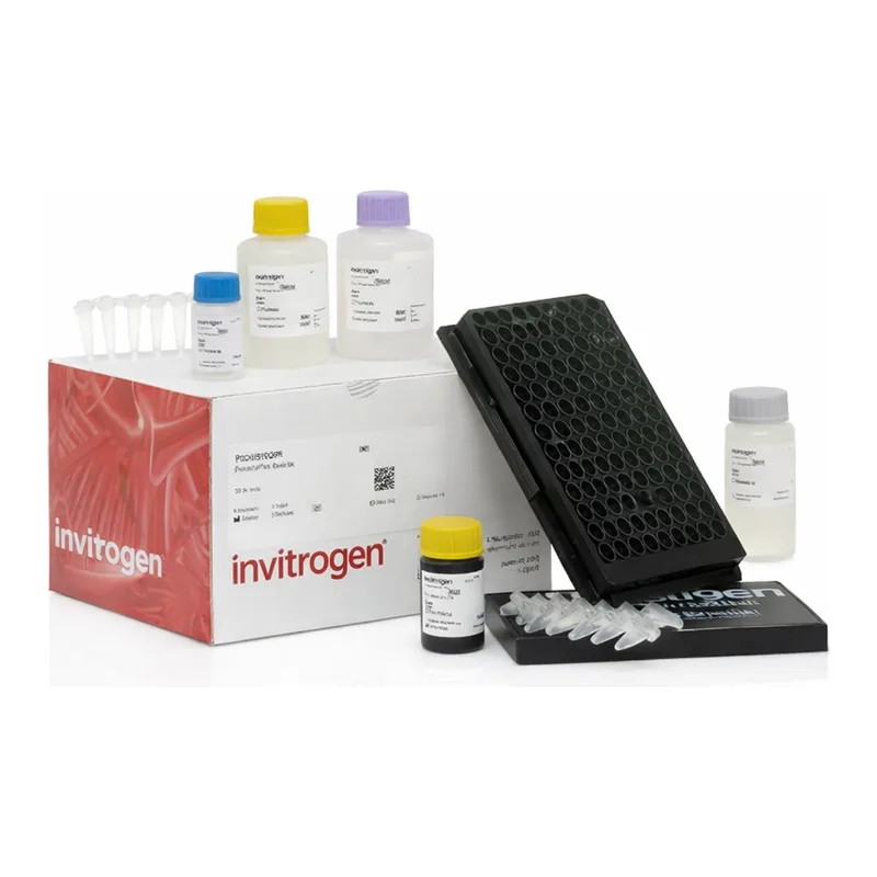 Thermo Fisher Scientific Eotaxin-2 (CCL24) Mouse ProcartaPlex Simplex Kit