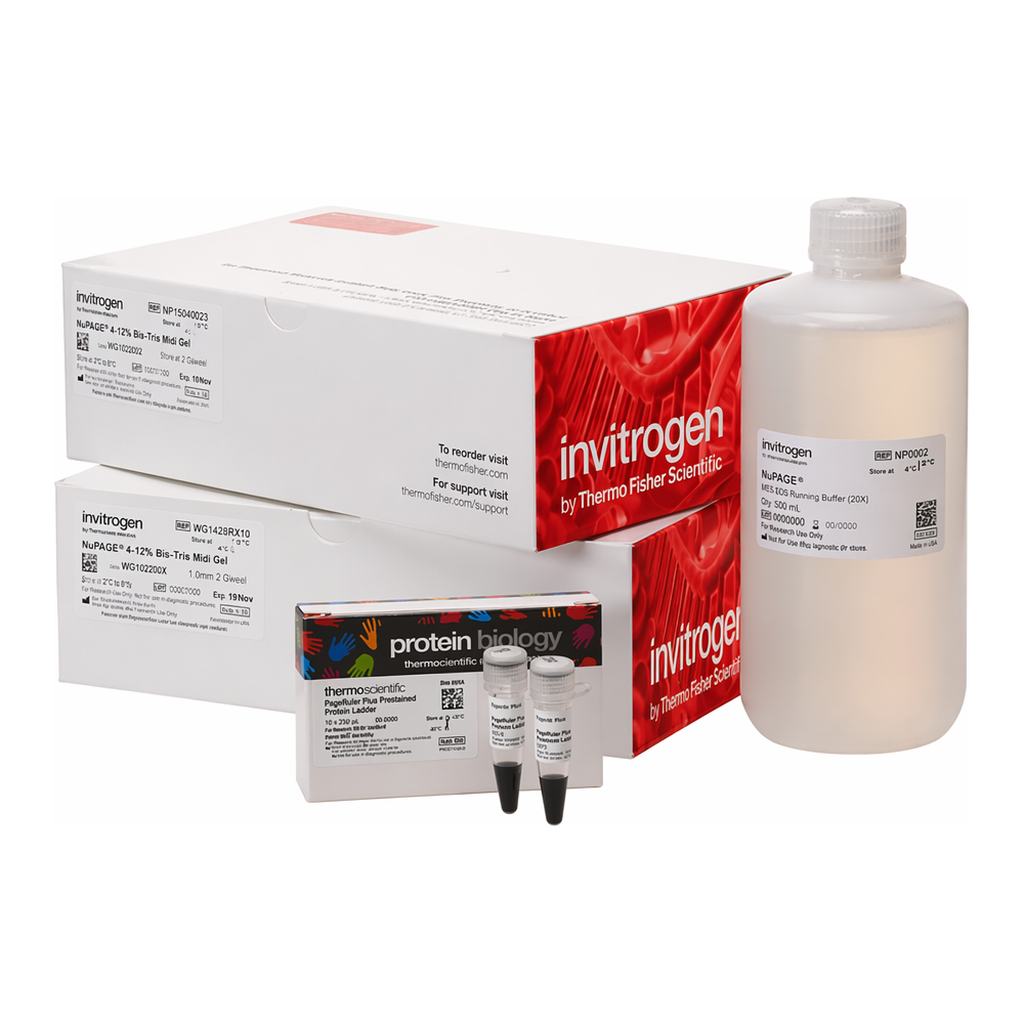 Thermo Fisher Scientific Novex Midi Tris-Glycine Plus Resupply Pack, 12%, WedgeWell format, 20-well, 1 Kit