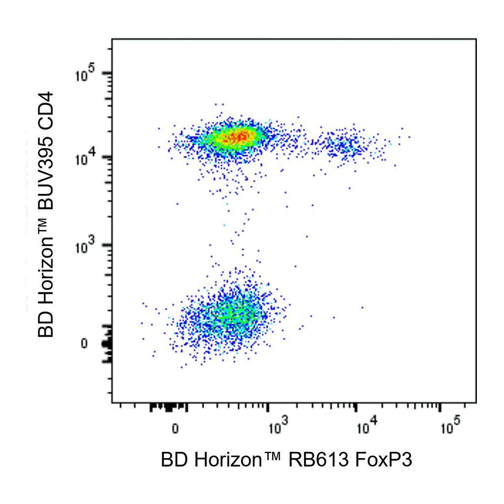BD RB613 Mouse Anti-Human FoxP3