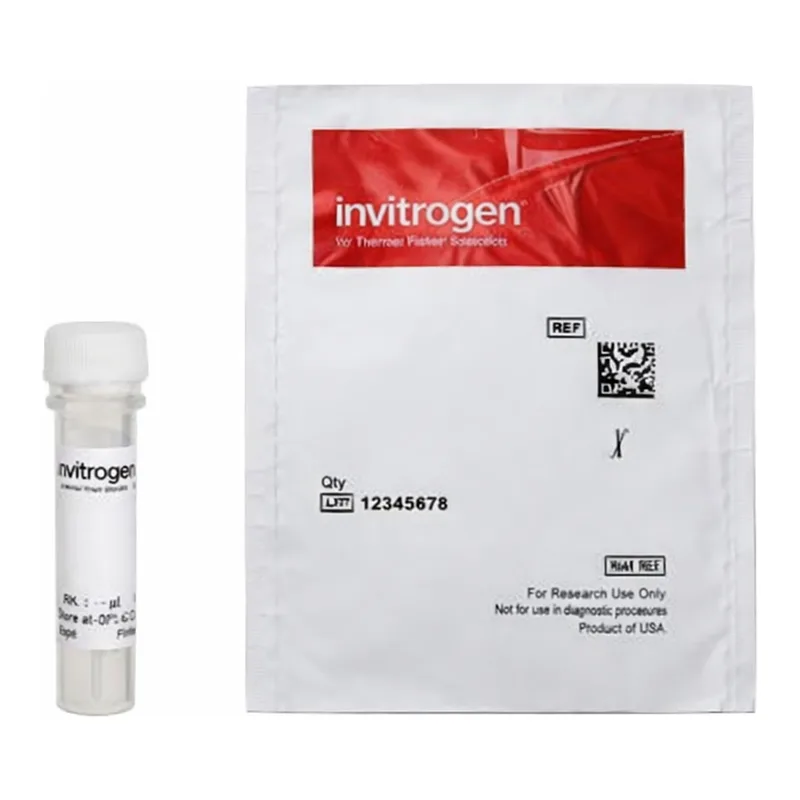 Thermo Fisher Scientific Qdot 605 Streptavidin Conjugate, 200 μL