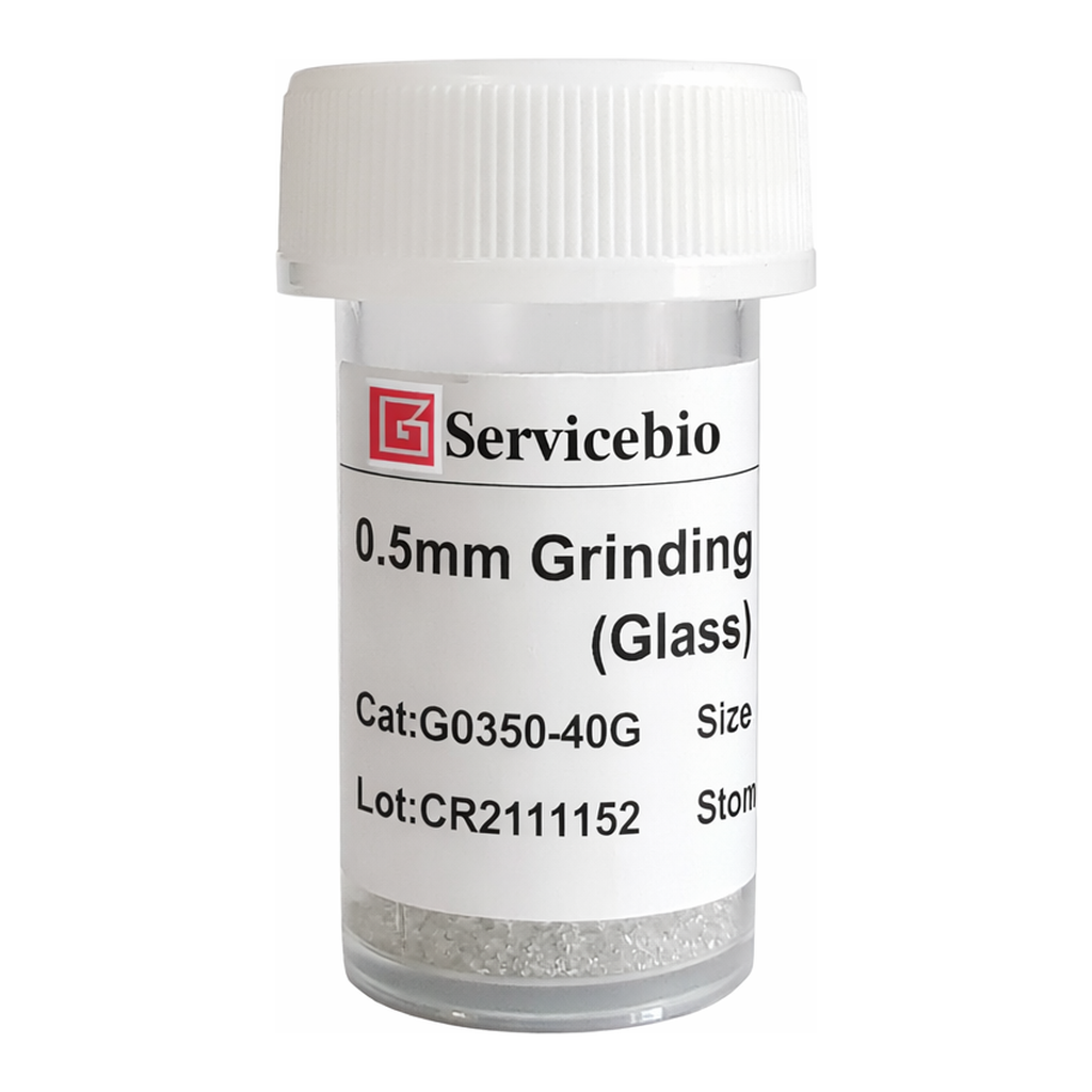 Servicebio Grinding Beads (Glass)
