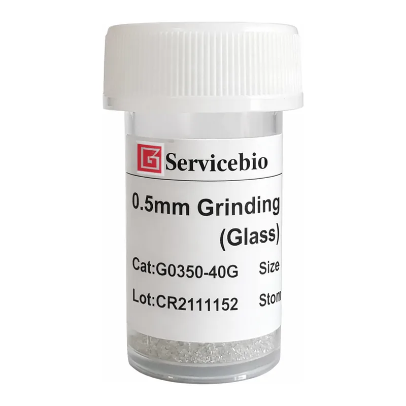Servicebio Grinding Beads (Glass)