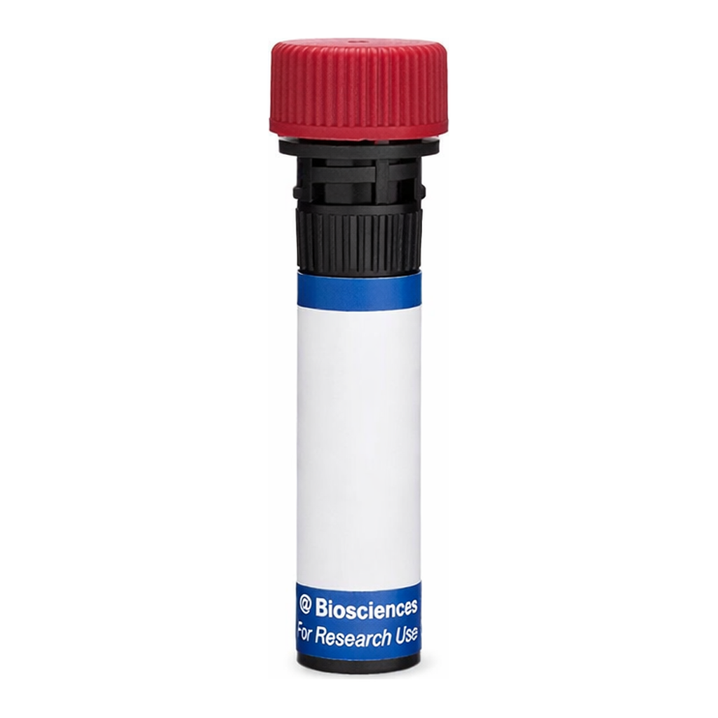 BD RB670 Mouse Anti-Rat Granulocytes