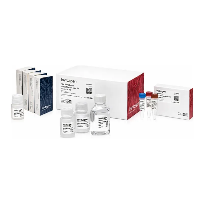 Thermo Fisher Scientific Fast SYBR Green Cells-to-CT Kit, 400 reactions