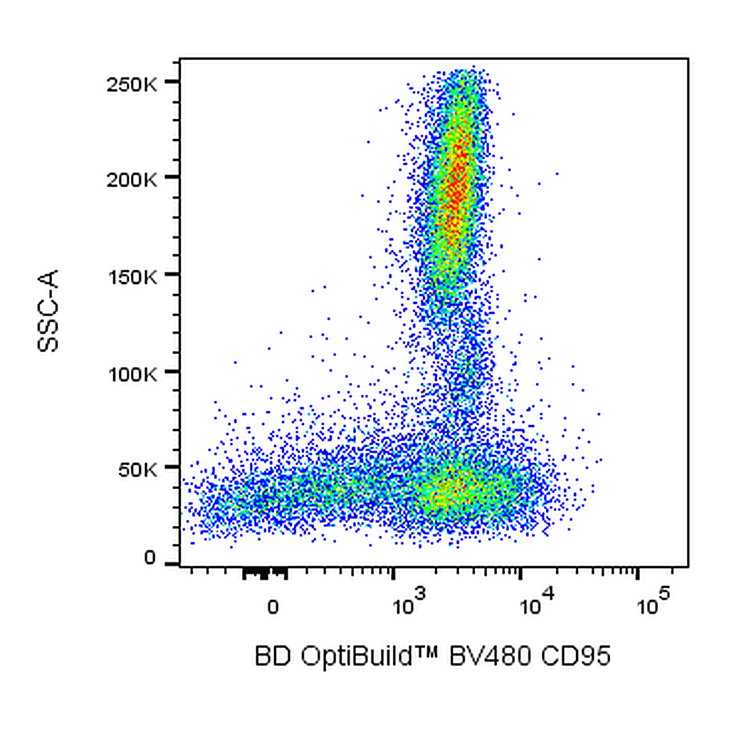 BD BV480 Mouse Anti-Human CD95