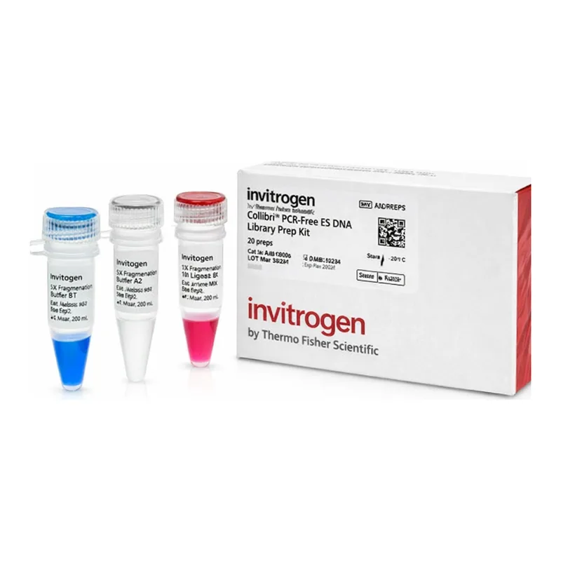 Thermo Fisher Scientific Collibri PCR-free ES DNA Library Prep, 24 preps