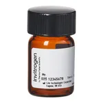 Thermo Fisher Scientific BODIPY TR-X NHS Ester (Succinimidyl Ester)