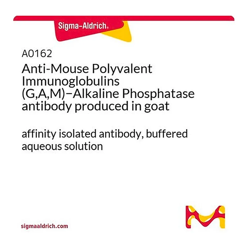 Merck Anti-Mouse Polyvalent Immunoglobulins (G,A,M)-Alkaline Phosphatase antibody produced in goat