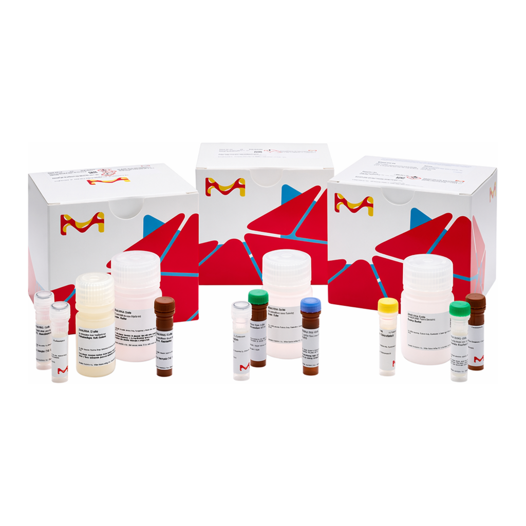 Merck GLYCOGEN ASSAY KIT