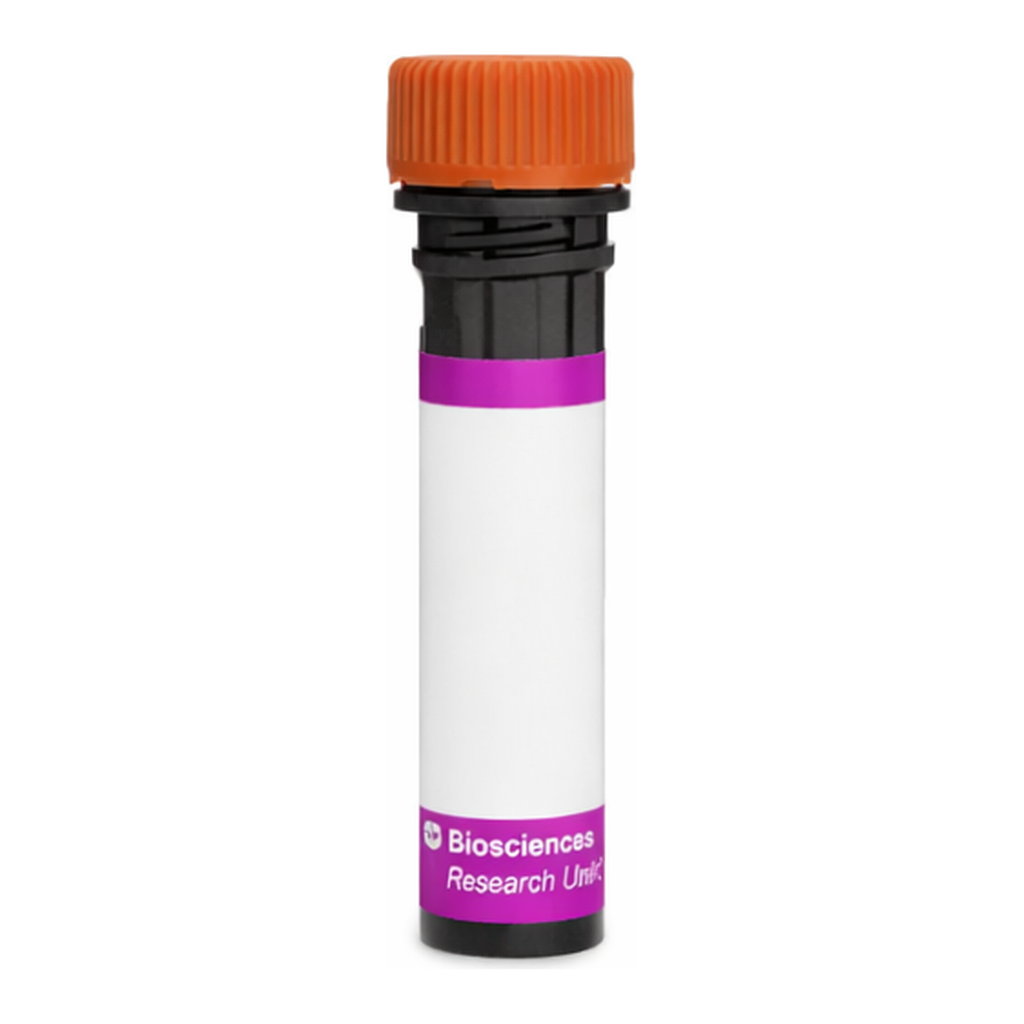 BD BV605 Rat Anti-Mouse Panendothelial Cell Antigen