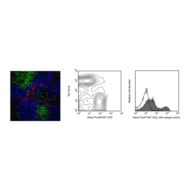 BD Alexa Fluor® 647 Rat Anti-Mouse CD3 Molecular Complex