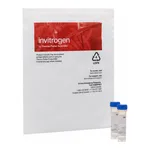 Thermo Fisher Scientific Filmtracer LIVE/DEAD Biofilm Viability Kit
