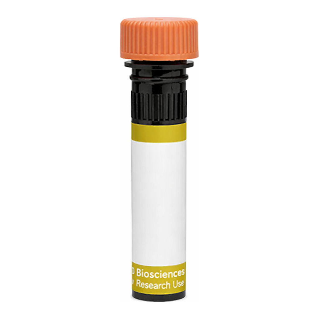 BD RY610 Biosimilar Anti-Human HER2