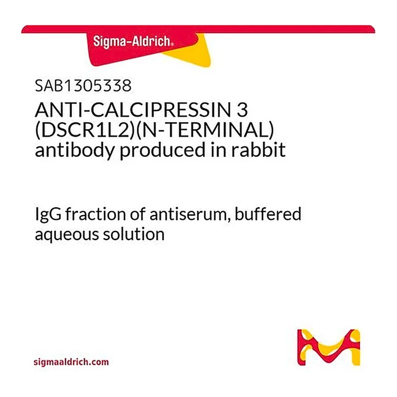 Merck ANTI-CALCIPRESSIN 3 (DSCR1L2)(N-TERMINAL) antibody produced in rabbit