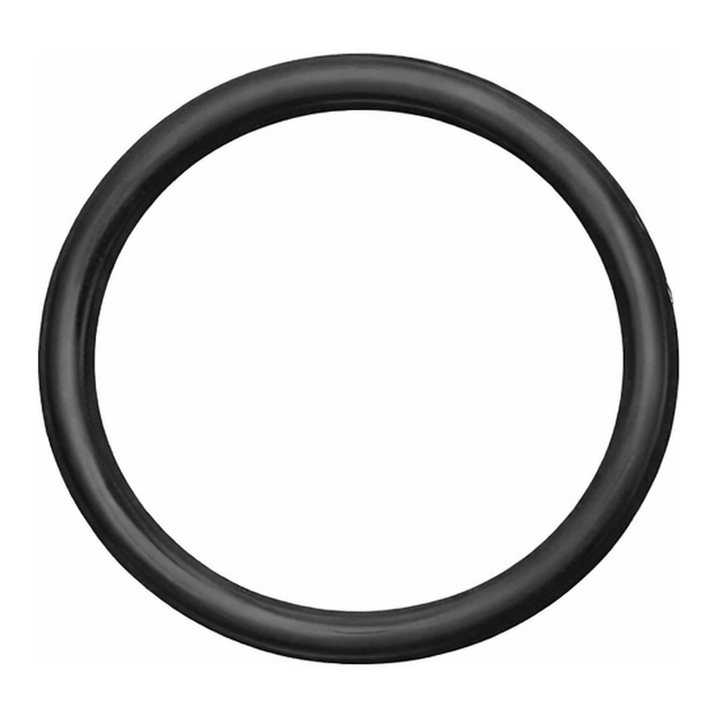 Agilent O-ring for DV axial purge window, Optima