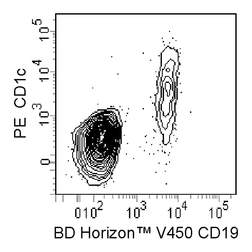 BD PE Mouse Anti-Human CD1c