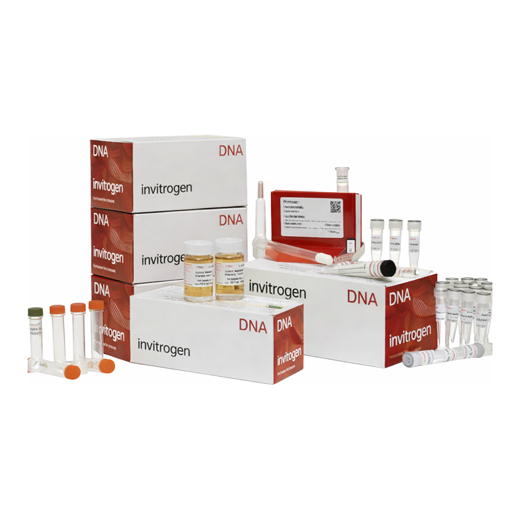 Thermo Fisher Scientific CloneMiner II cDNA Library Construction Kit