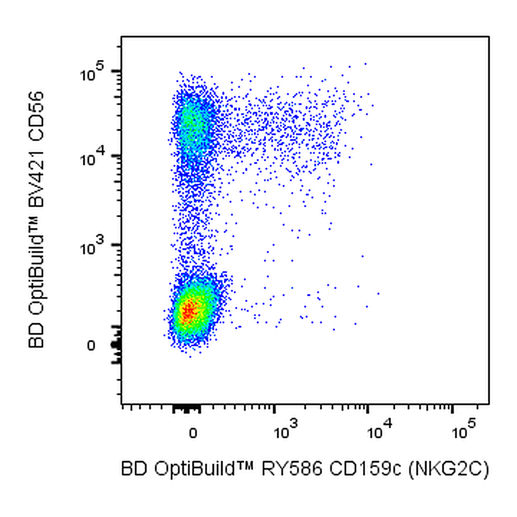 BD RY586 Mouse Anti-Human CD159C (NKG2C)