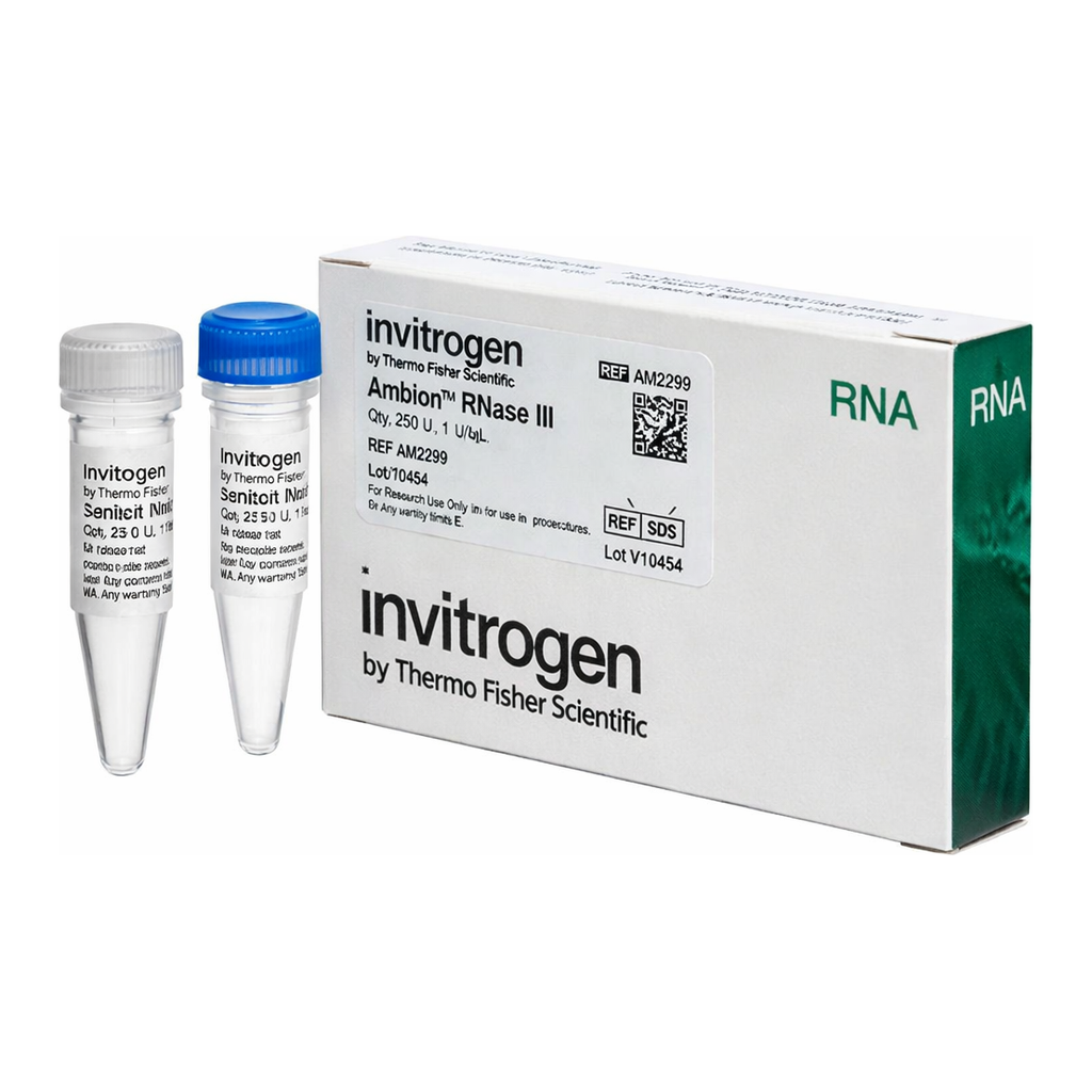 Thermo Fisher Scientific Ambion RNase III