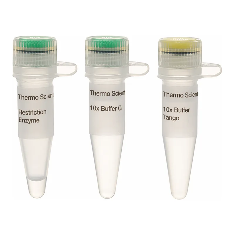 Thermo Fisher Scientific BclI (10 U/μL), 1,000 units