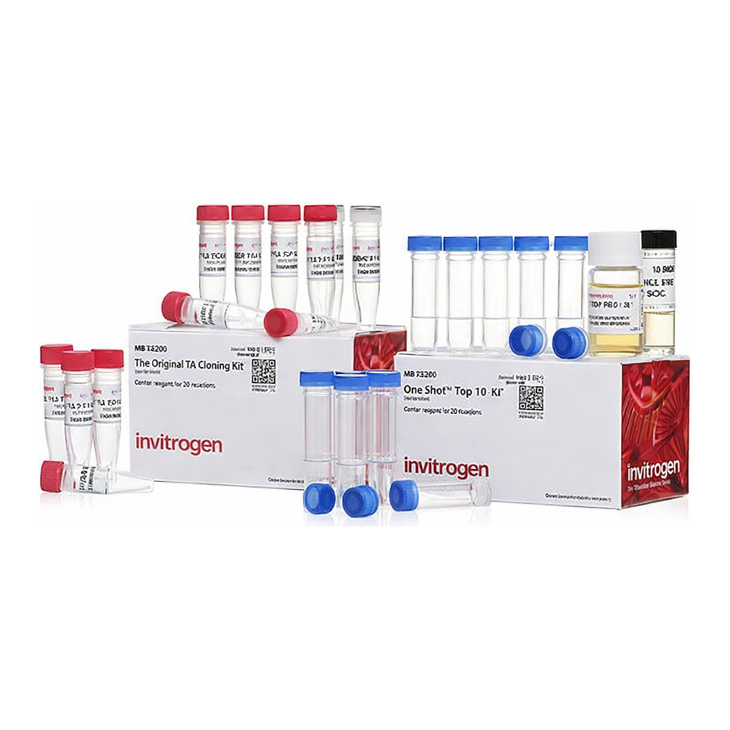 Thermo Fisher Scientific TA Cloning Kit, with pCR2.1 Vector and One Shot TOP10F` Chemically Competent E. coli, 20 reactions