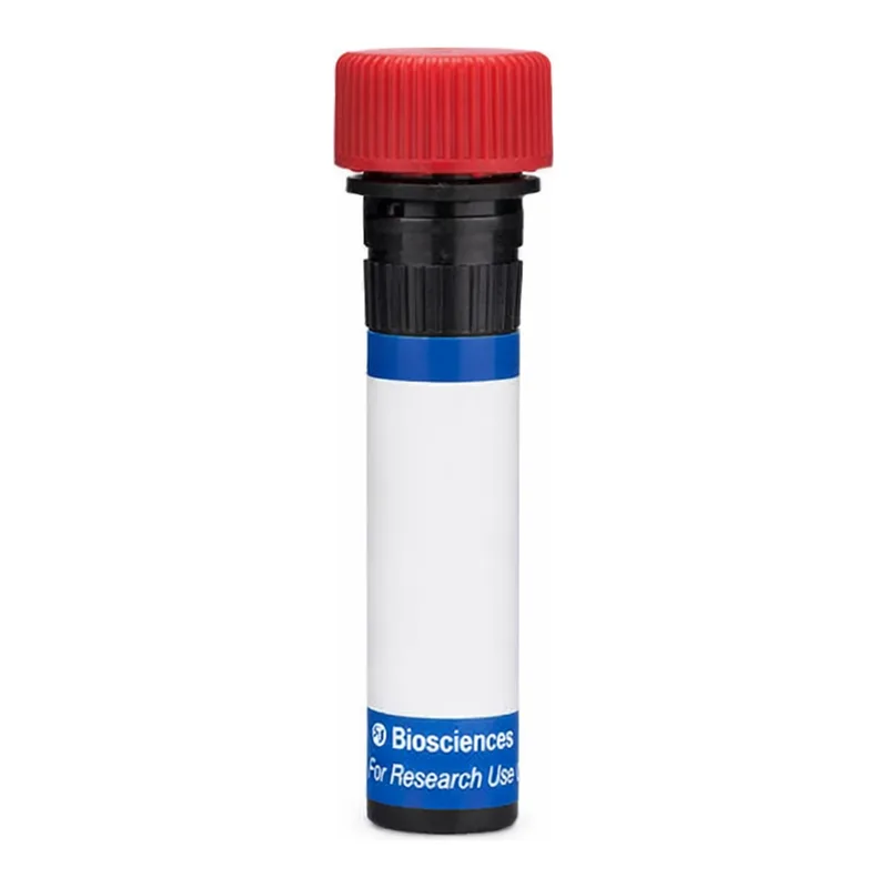 BD RB670 Rat Anti-Mouse Panendothelial Cell Antigen