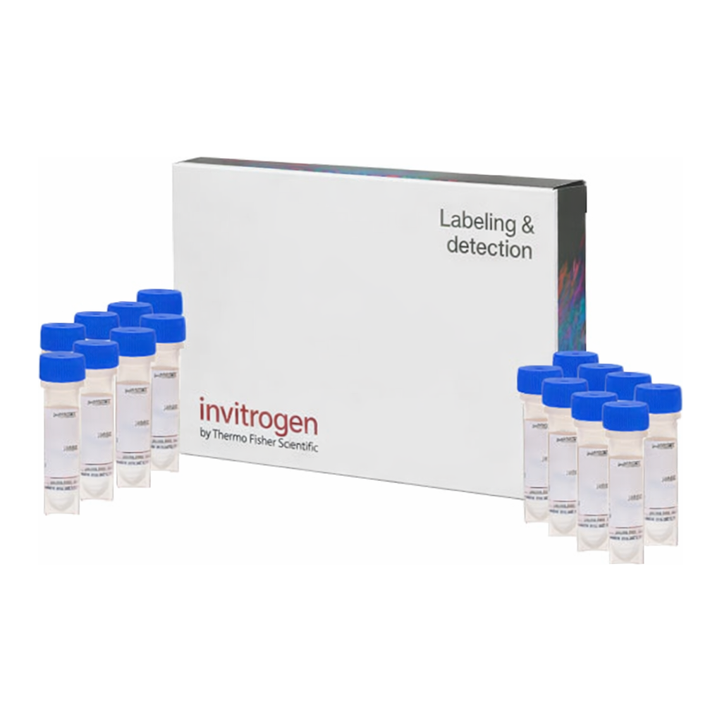 Thermo Fisher Scientific LysoTracker Green DND-26, special packaging