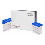 Thermo Fisher Scientific LysoTracker Green DND-26, special packaging