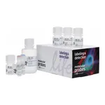 Thermo Fisher Scientific Click-iT Plus EdU Pacific Blue Flow Cytometry Assay Kit