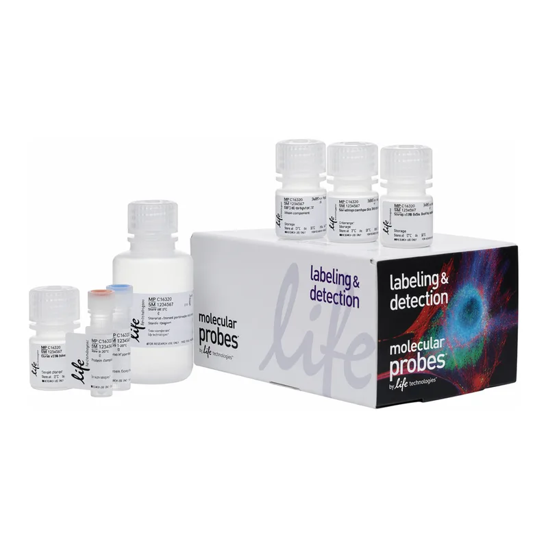 Thermo Fisher Scientific Click-iT Plus EdU Pacific Blue Flow Cytometry Assay Kit