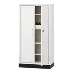 AS ONE Reagent Storage Cabinet PVC, PVC시약장, 양문형