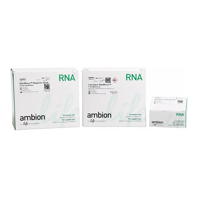 Thermo Fisher Scientific Low Input RiboMinus Eukaryote System v2
