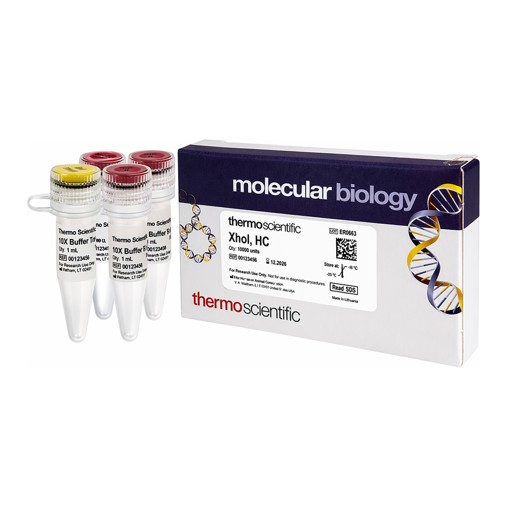 Thermo Fisher Scientific XhoI, HC (50 U/&mu;L)