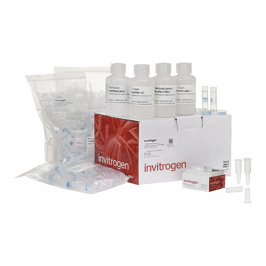 Thermo Fisher Scientific PureLink HQ Mini Plasmid DNA Purification Kit
