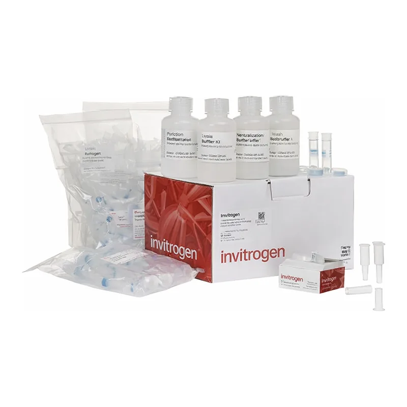 Thermo Fisher Scientific PureLink HQ Mini Plasmid DNA Purification Kit
