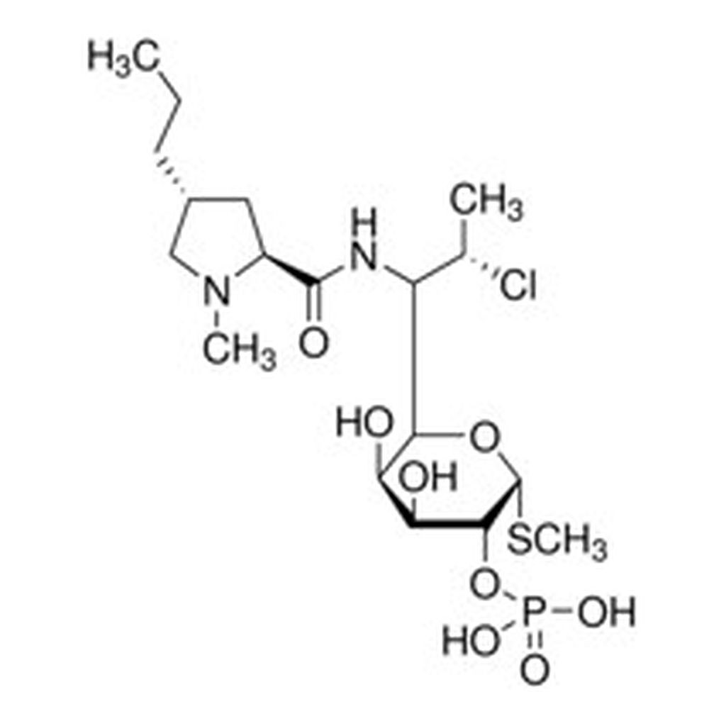 Merck CLINDAMYCIN PHOSPHATE