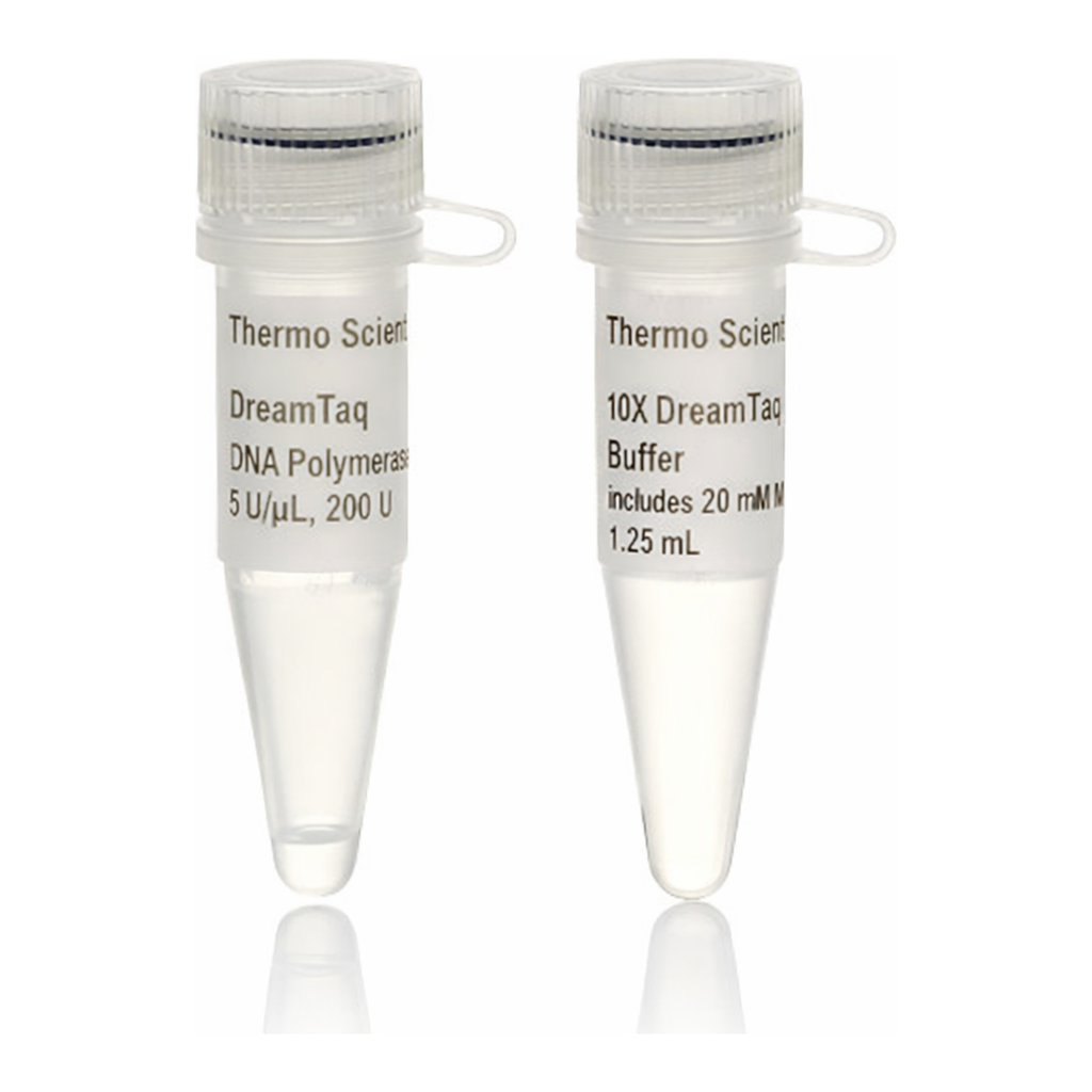 Thermo Fisher Scientific DreamTaq DNA Polymerase (5 U/μL), 200 Units
