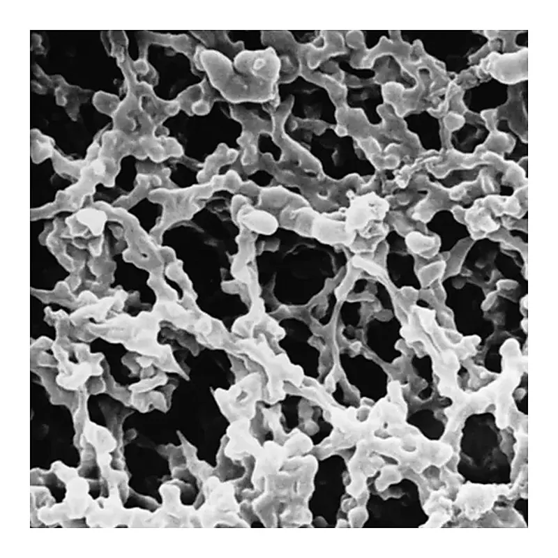 Merck Millipore Express PLUS Membrane Filter