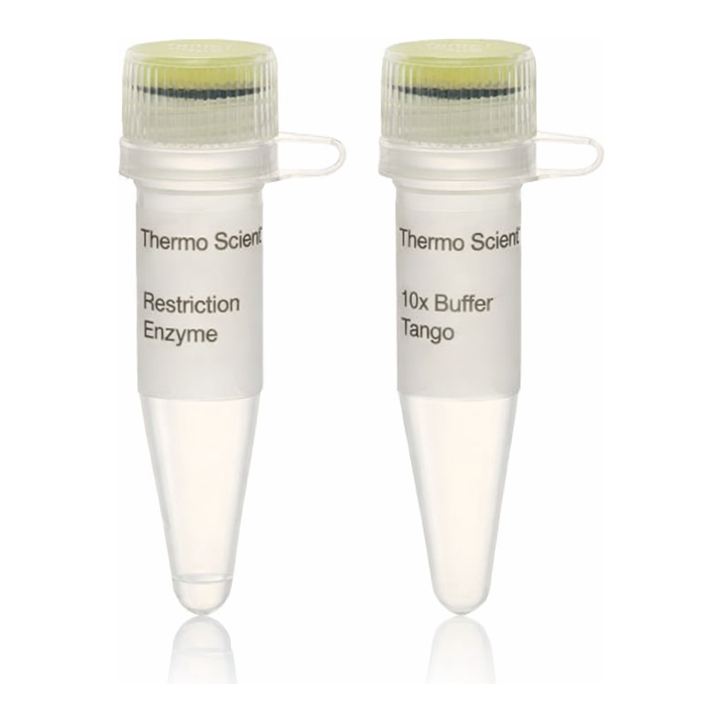 Thermo Fisher Scientific XbaI, HC (50 U/&mu;L)