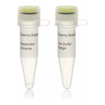 Thermo Fisher Scientific XbaI, HC (50 U/μL)